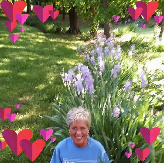 Christine Corum